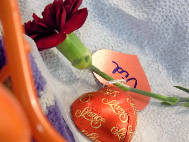 Anyák napja a szülészeten 01